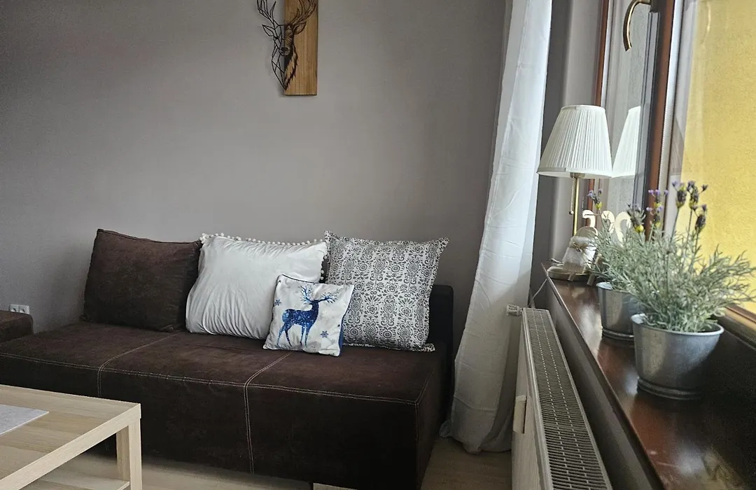 Apartament Zosia przy Krupówkach APARTZAKOP-1
